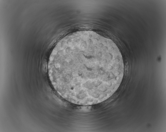 X0000115190474200912091115