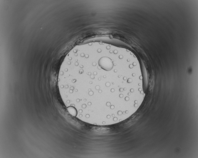 X0000115190476200912091115