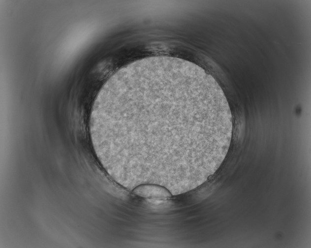 X0000115190477200912091115