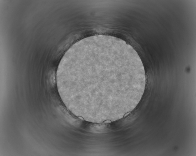 X0000115190479200912091115