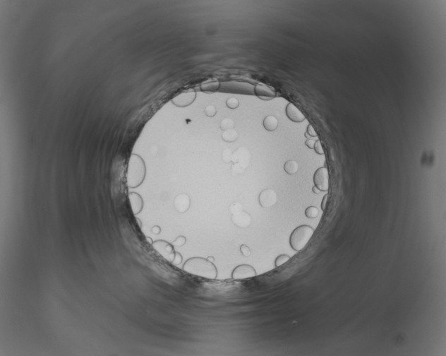 X0000115190480200912091115