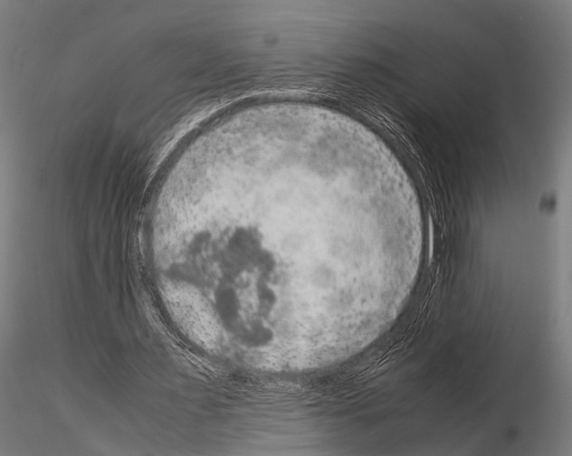 X0000115190483200912091114