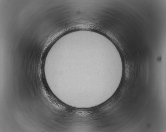 X0000115190486200912091114