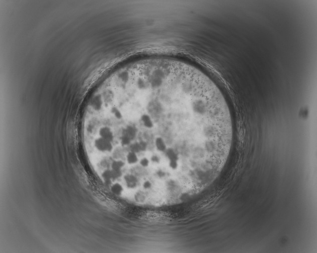 X0000115190487200912091114