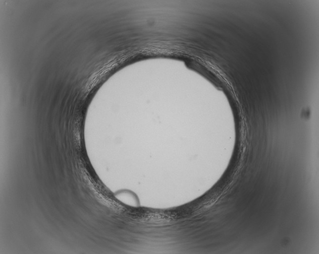 X0000115190489200912091114