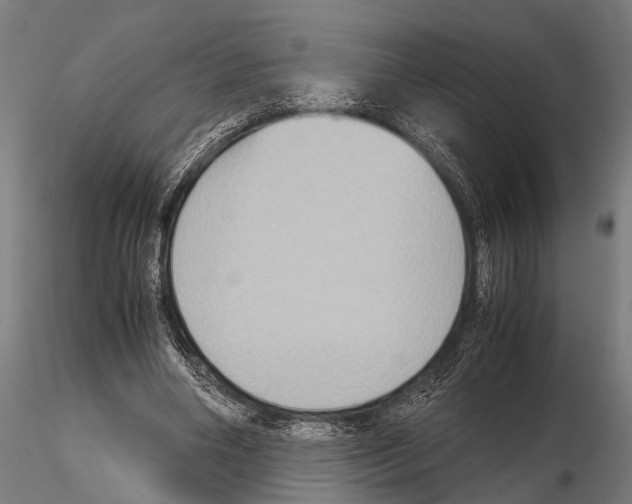 X0000115190490200912091114