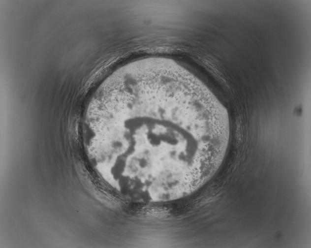 X0000115190491200912091114