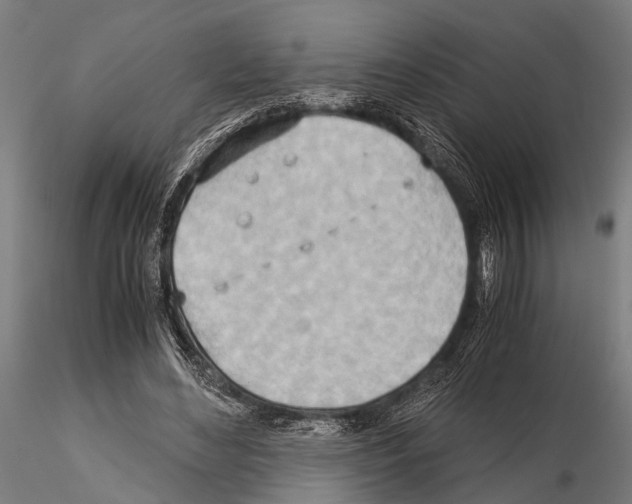 X0000115190492200912091114