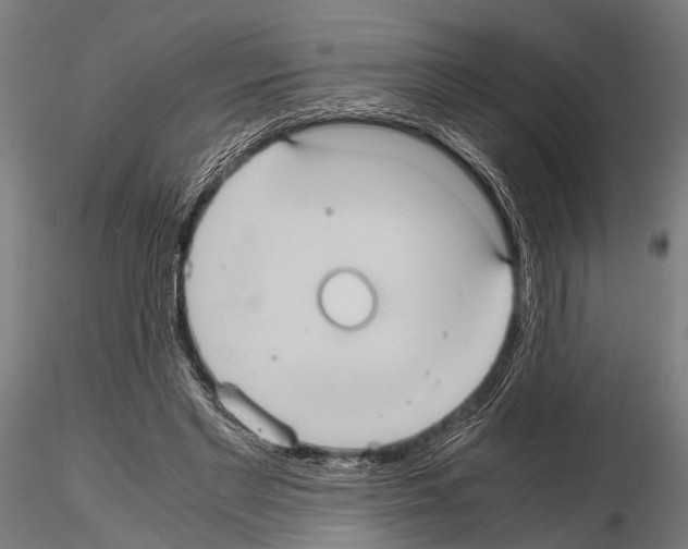 X0000115190493200912091114