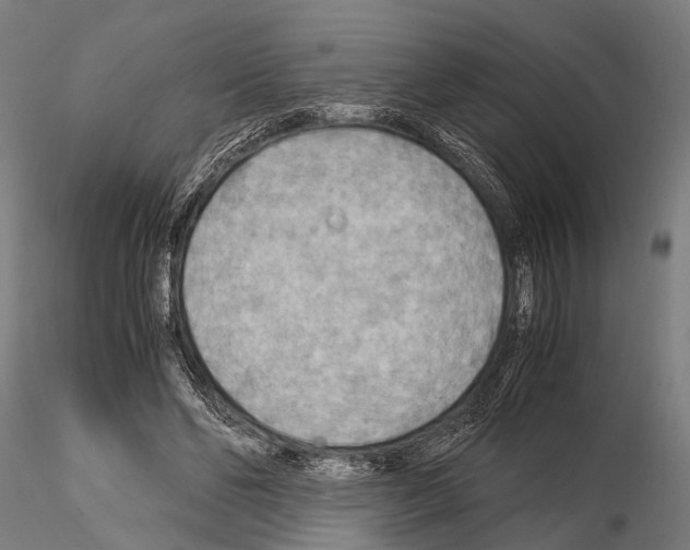 X0000115190494200912091114