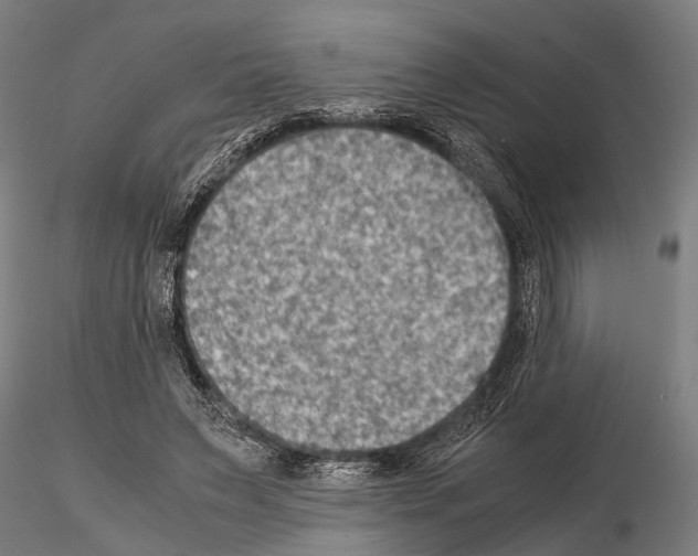 X0000115190495200912091114