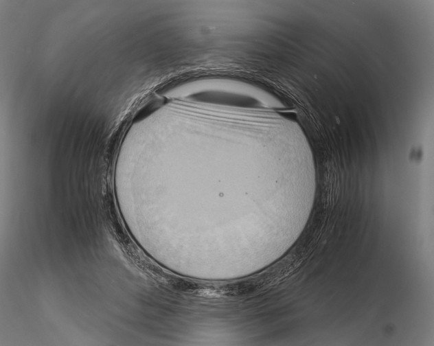 X0000115190496200912091114