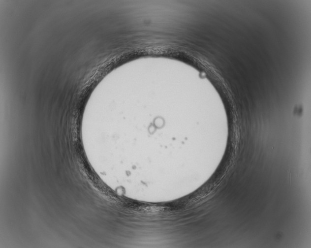 X0000115190497200912091114