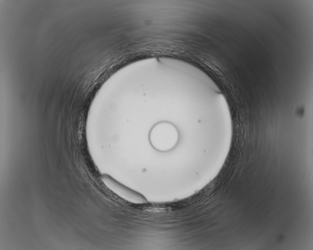 X0000115190499200912091114