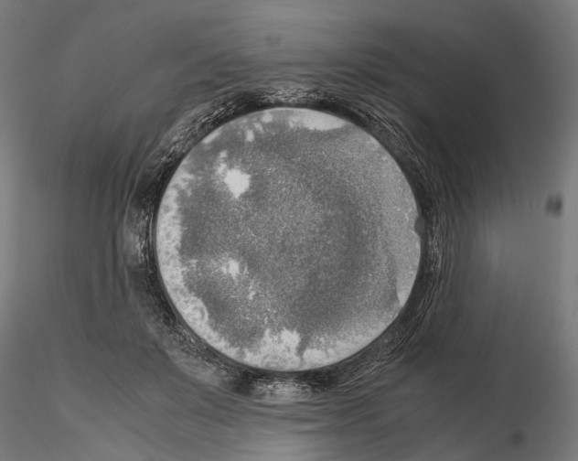 X0000115190503200912091114