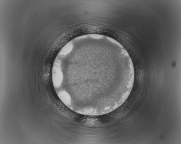 X0000115190507200912091114