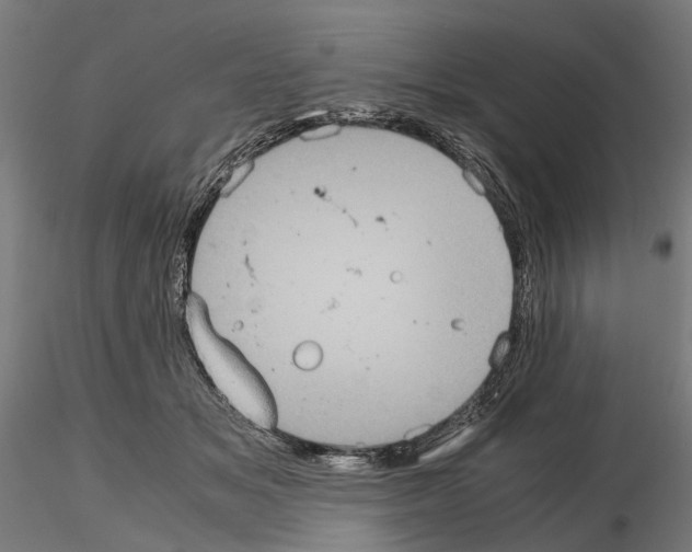 X0000115190509200912091114