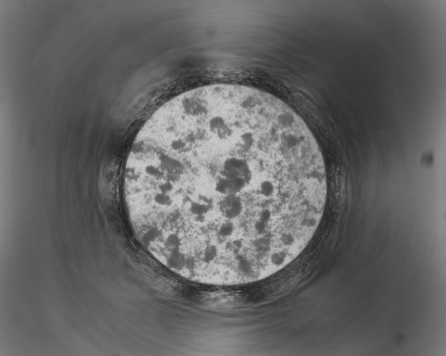 X0000115190511200912091114