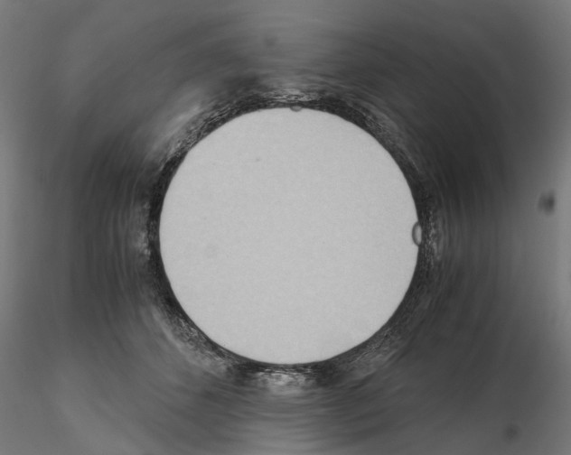 X0000115190512200912091114