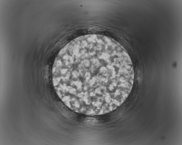 X0000115190519200912091114