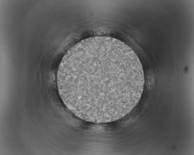 X0000115190523200912091113