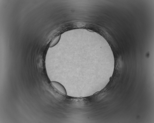 X0000115190524200912091113