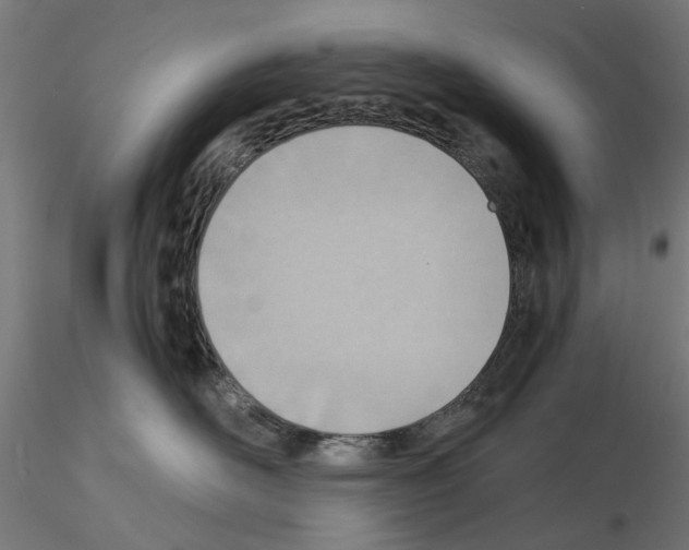 X0000115190526200912091113