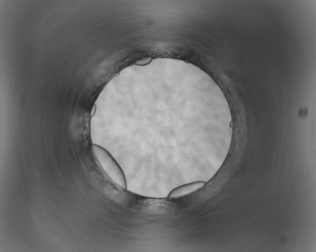 X0000115190528200912091113