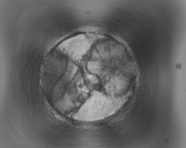 X0000115190529200912091112