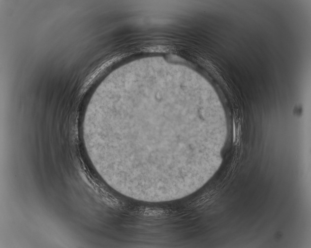 X0000115190531200912091112