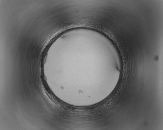 X0000115190534200912091112