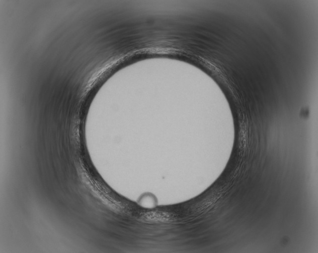 X0000115190535200912091112