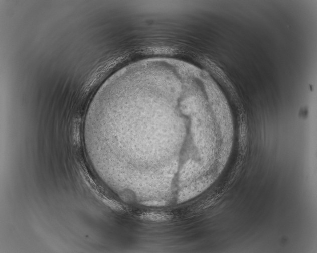 X0000115190537200912091113