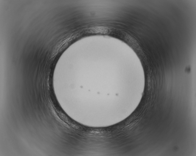 X0000115190538200912091113