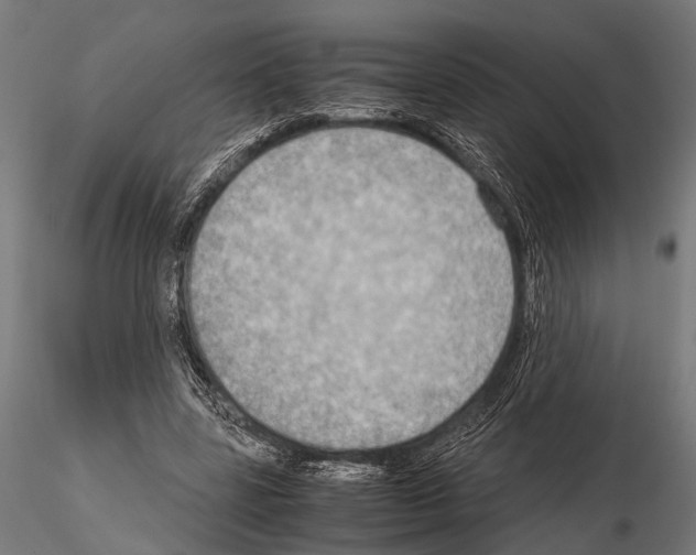 X0000115190539200912091113