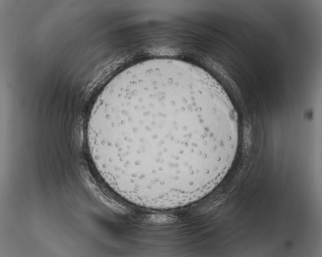 X0000115190541200912091113