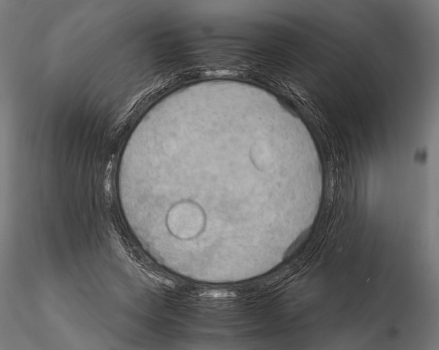 X0000115190543200912091113