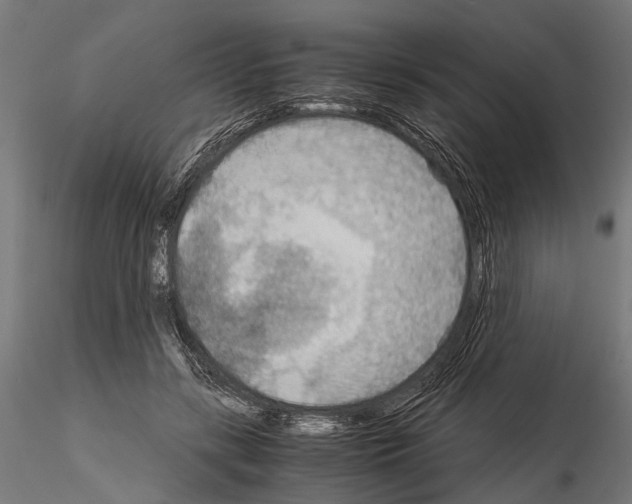 X0000115190547200912091113