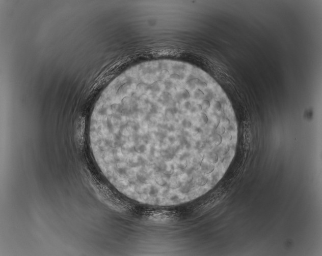 X0000115190550200912091113