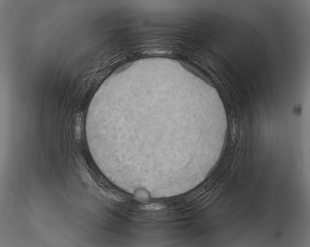 X0000115190551200912091113