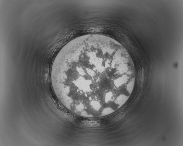 X0000115190553200912091113