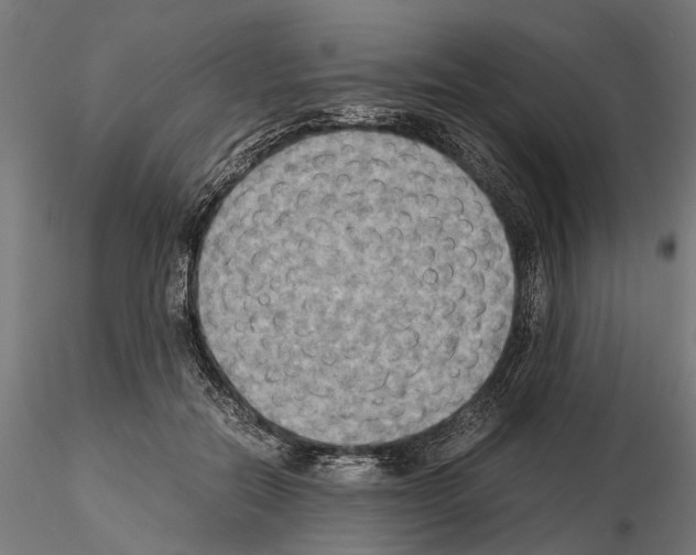 X0000115190554200912091113