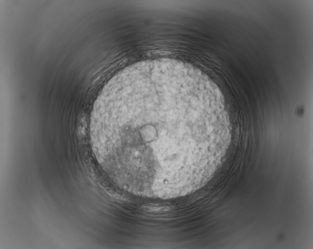 X0000115190555200912091113