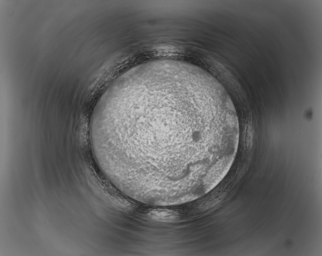 X0000115190557200912091113