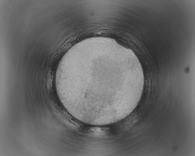 X0000115190558200912091113