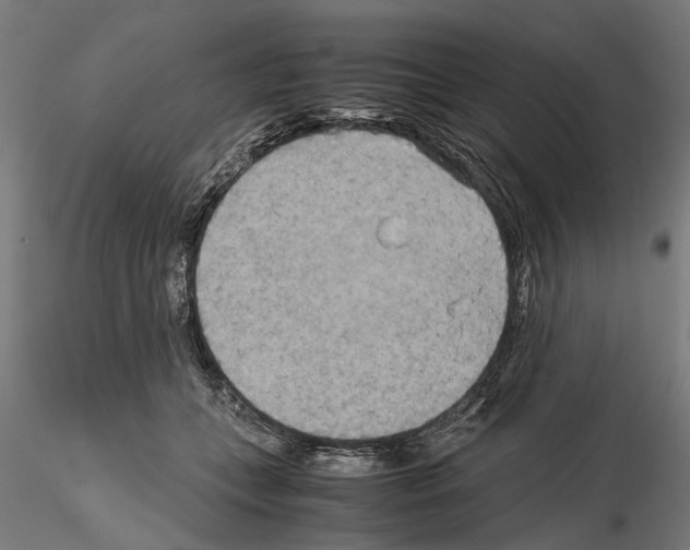 X0000115190559200912091113