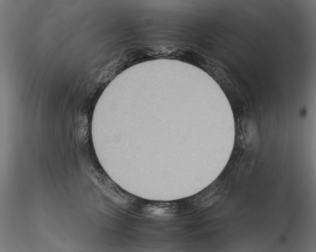 X0000115190563200912091113