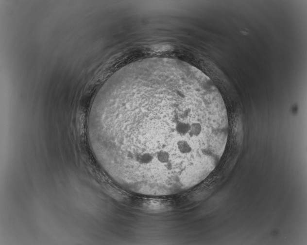 X0000115190565200912091113