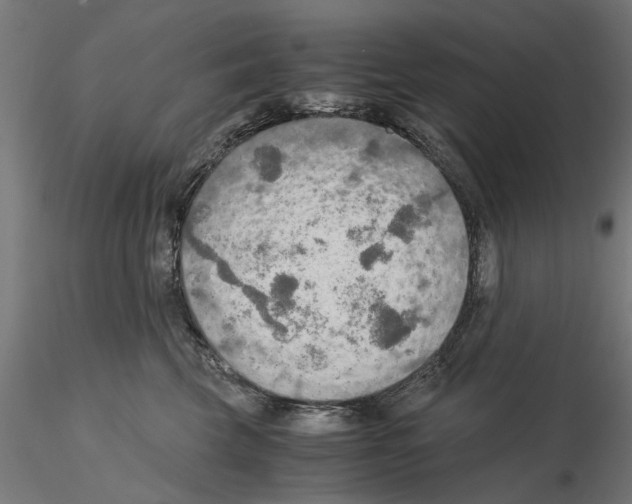 X0000115190569200912091113