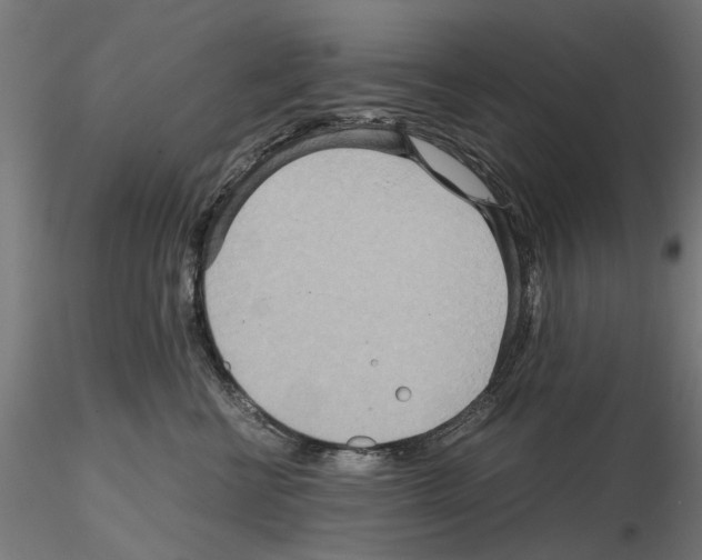 X0000115190570200912091113